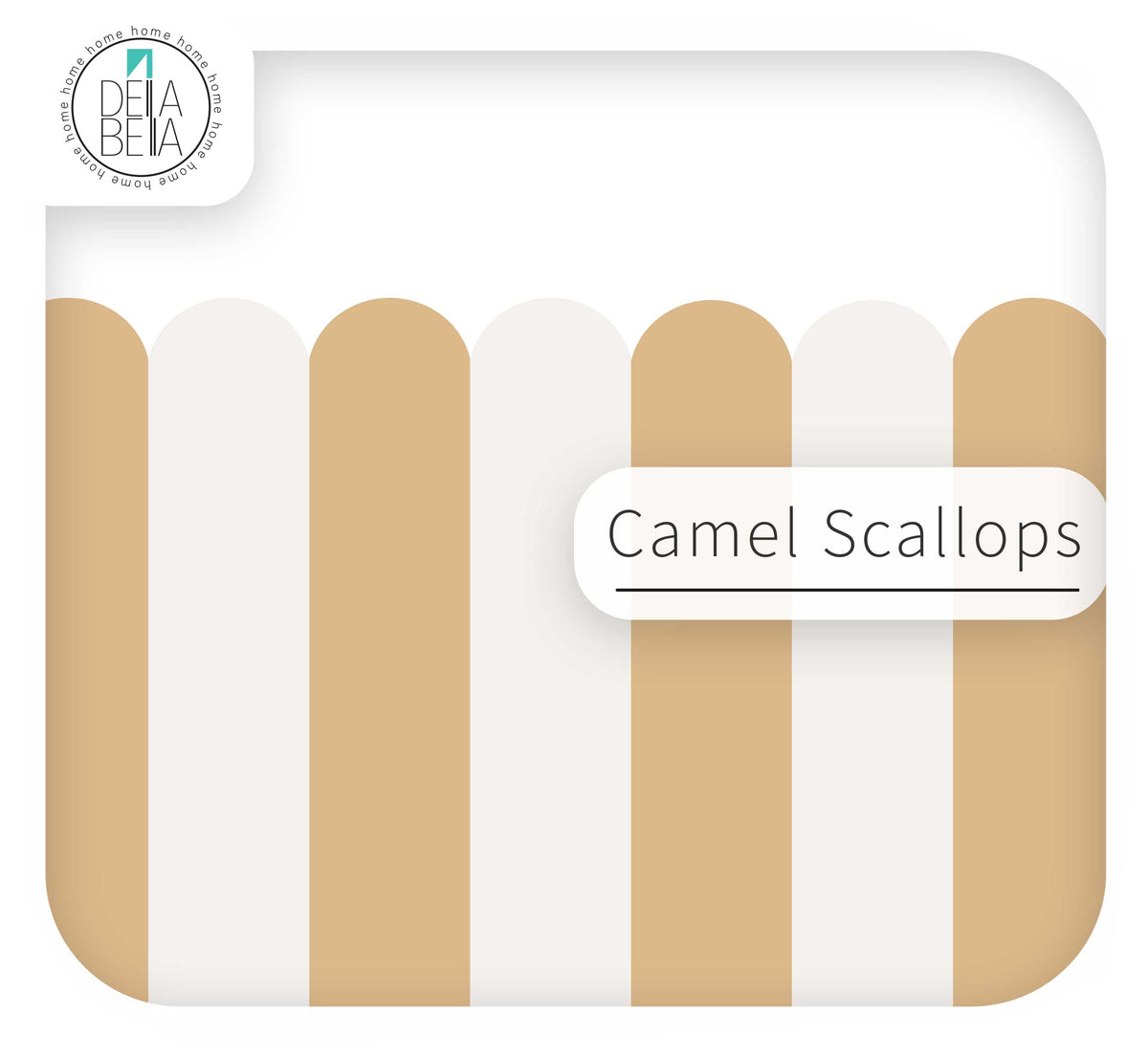Packaging of Camel Scallop products with visible brand logo.
